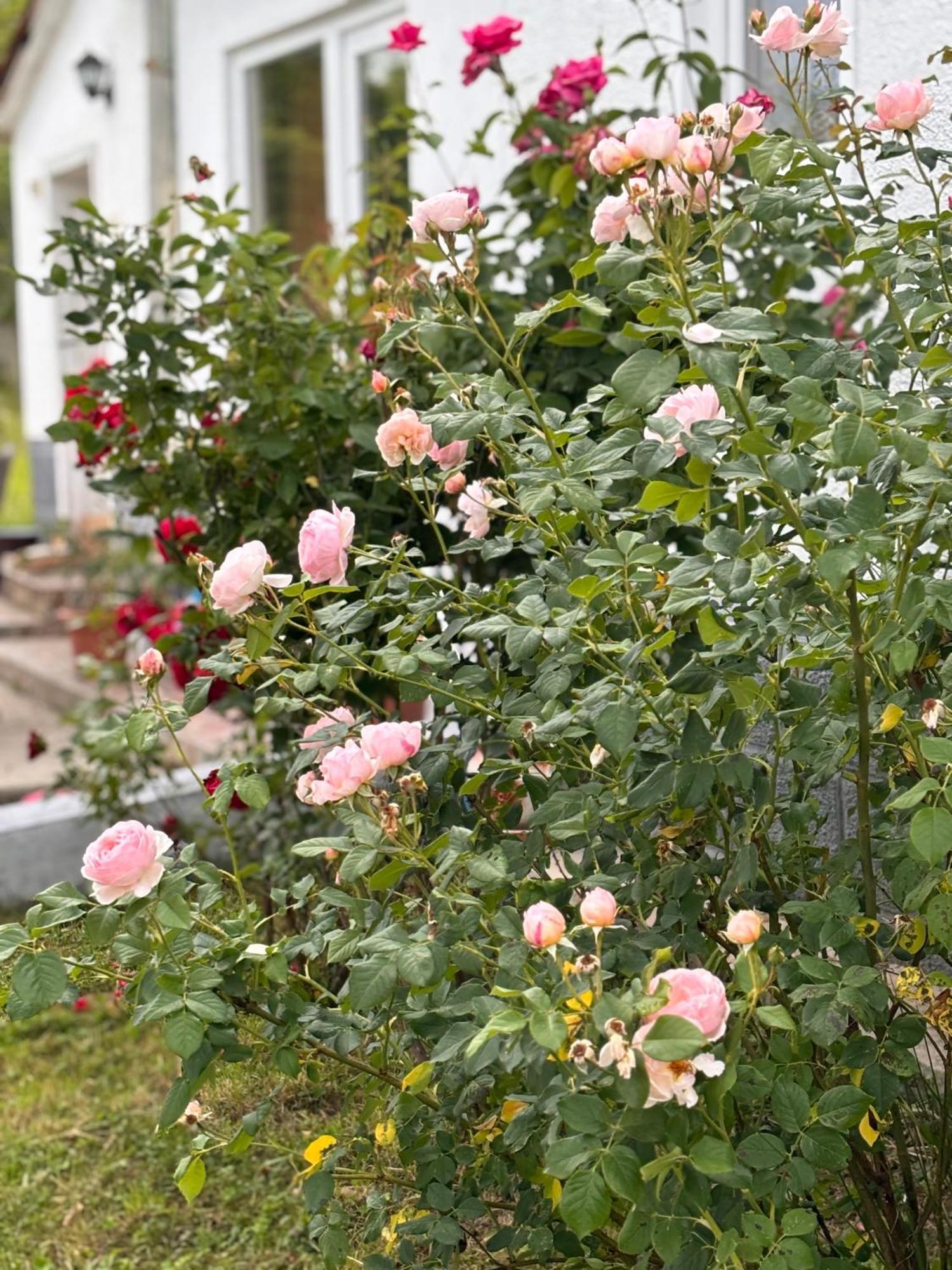 Country House Hatagel Luaran gambar